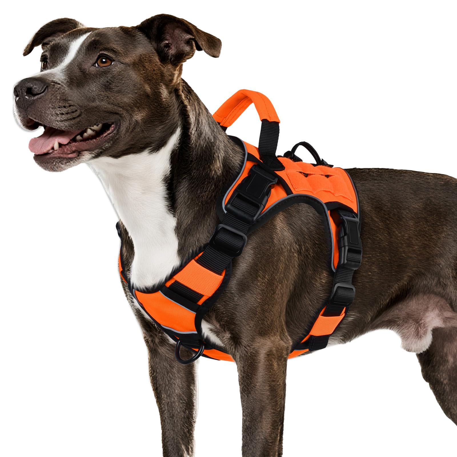 WINGOIN orange tactical dog harness side view highlights quick-release buckles for easy wearing