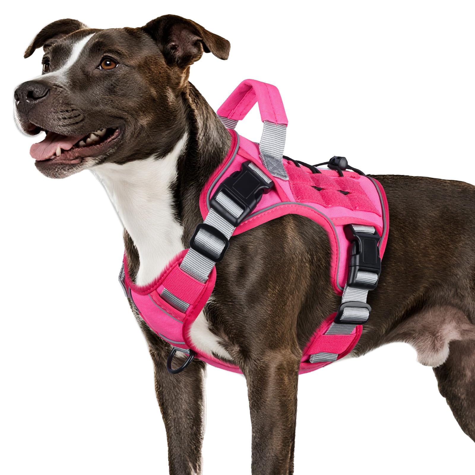 WINGOIN pink tactical dog harness front view demonstrates secure medium-dog fit.