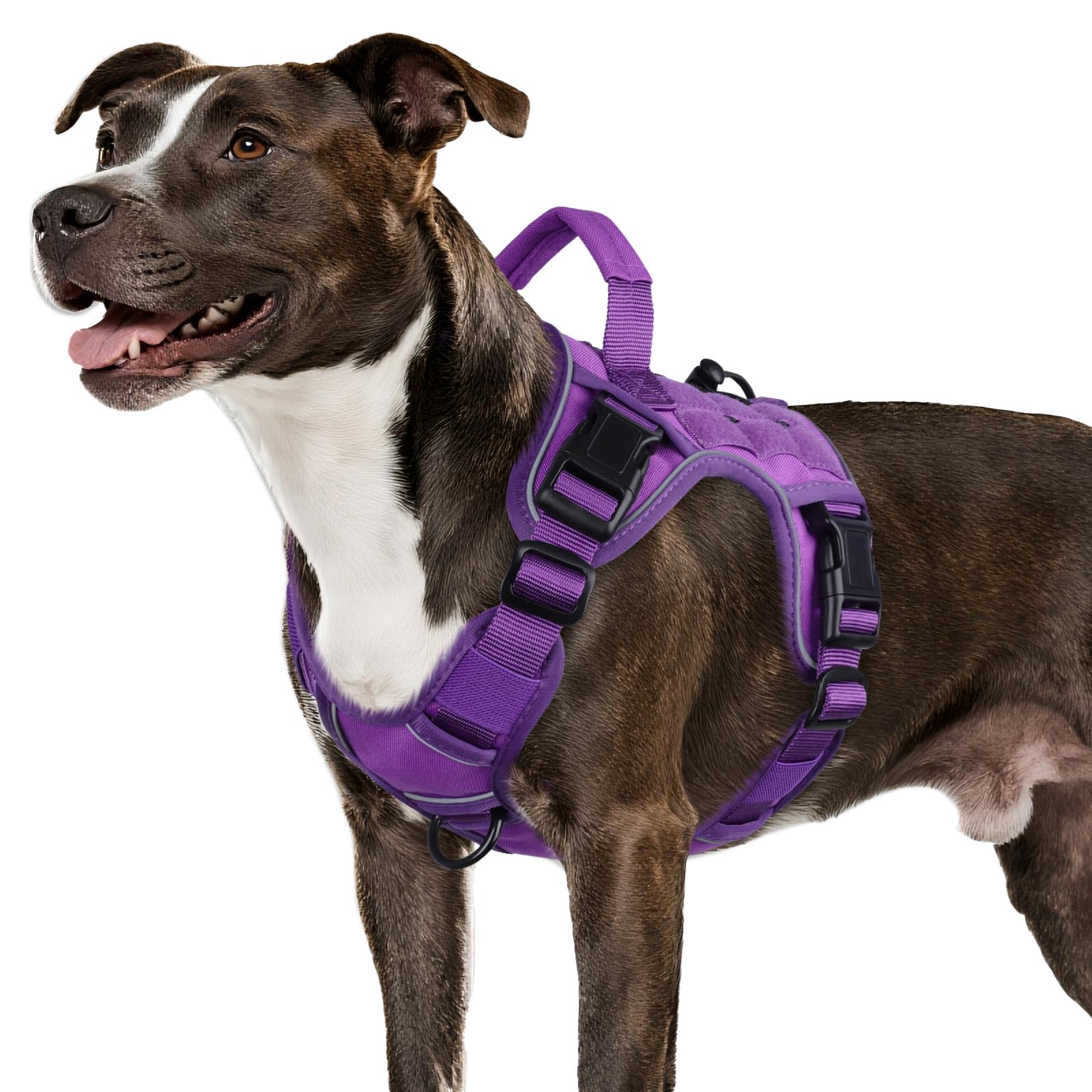 WINGOIN purple tactical dog harness side view for comfortable daily walks.
