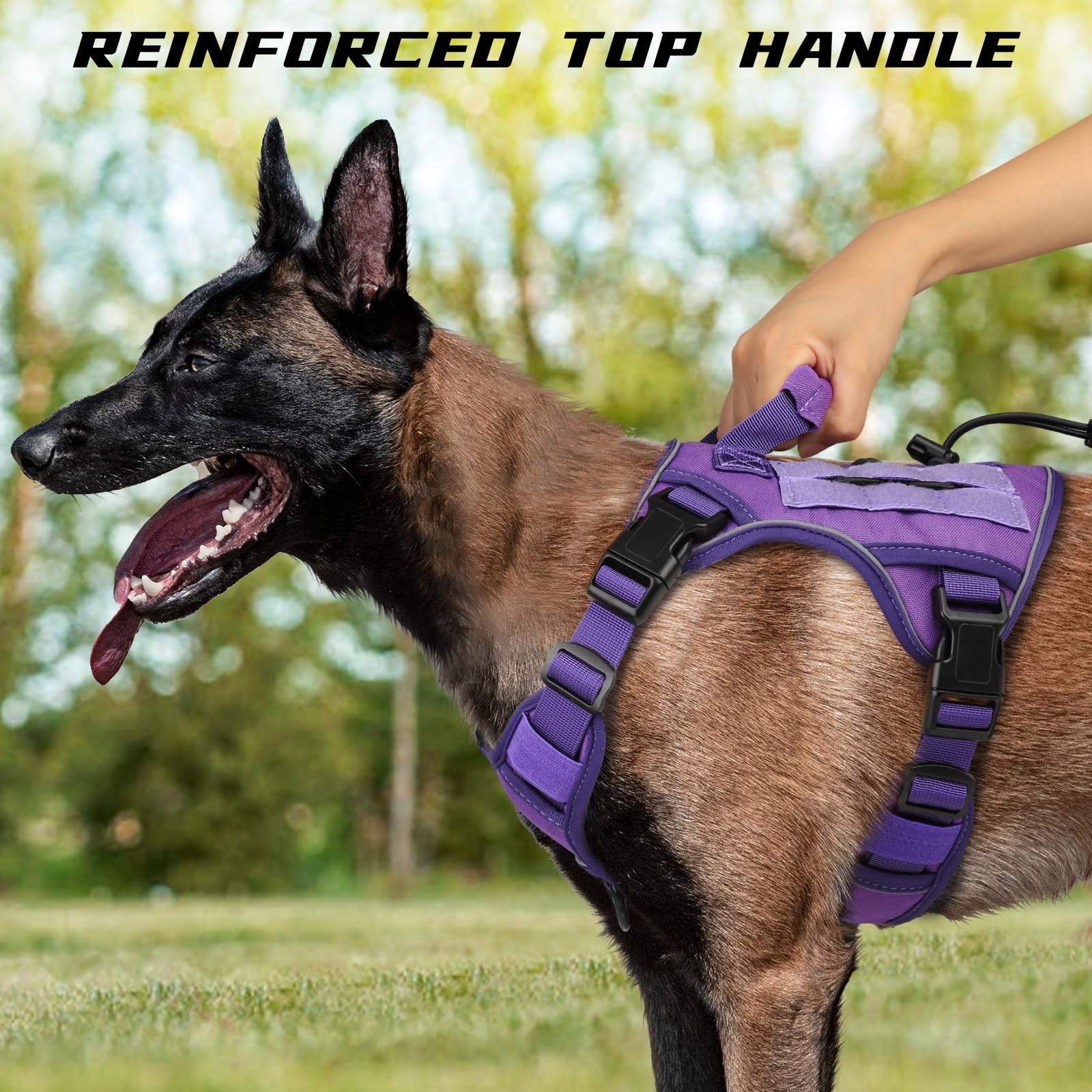 WINGOIN quick-release side-entry buckles enable easy on/off with less resistance.