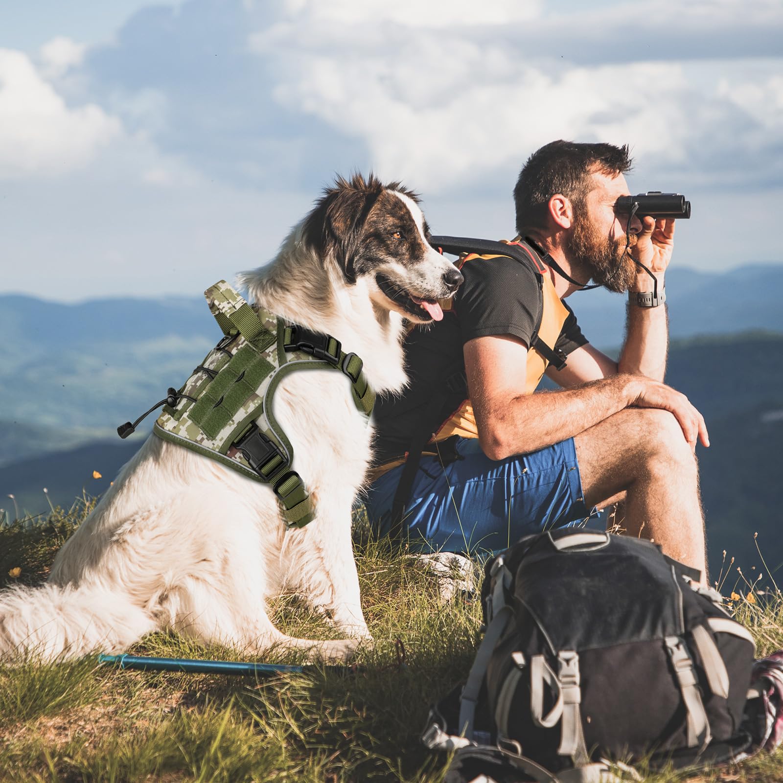 WINGOIN Tactical Dog Harness green camo for rugged outdoor adventures.