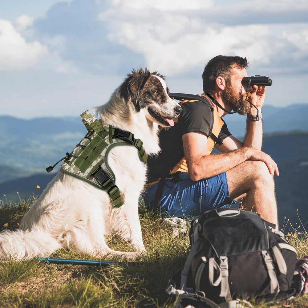 WINGOIN Tactical Dog Harness green camo for rugged outdoor adventures.