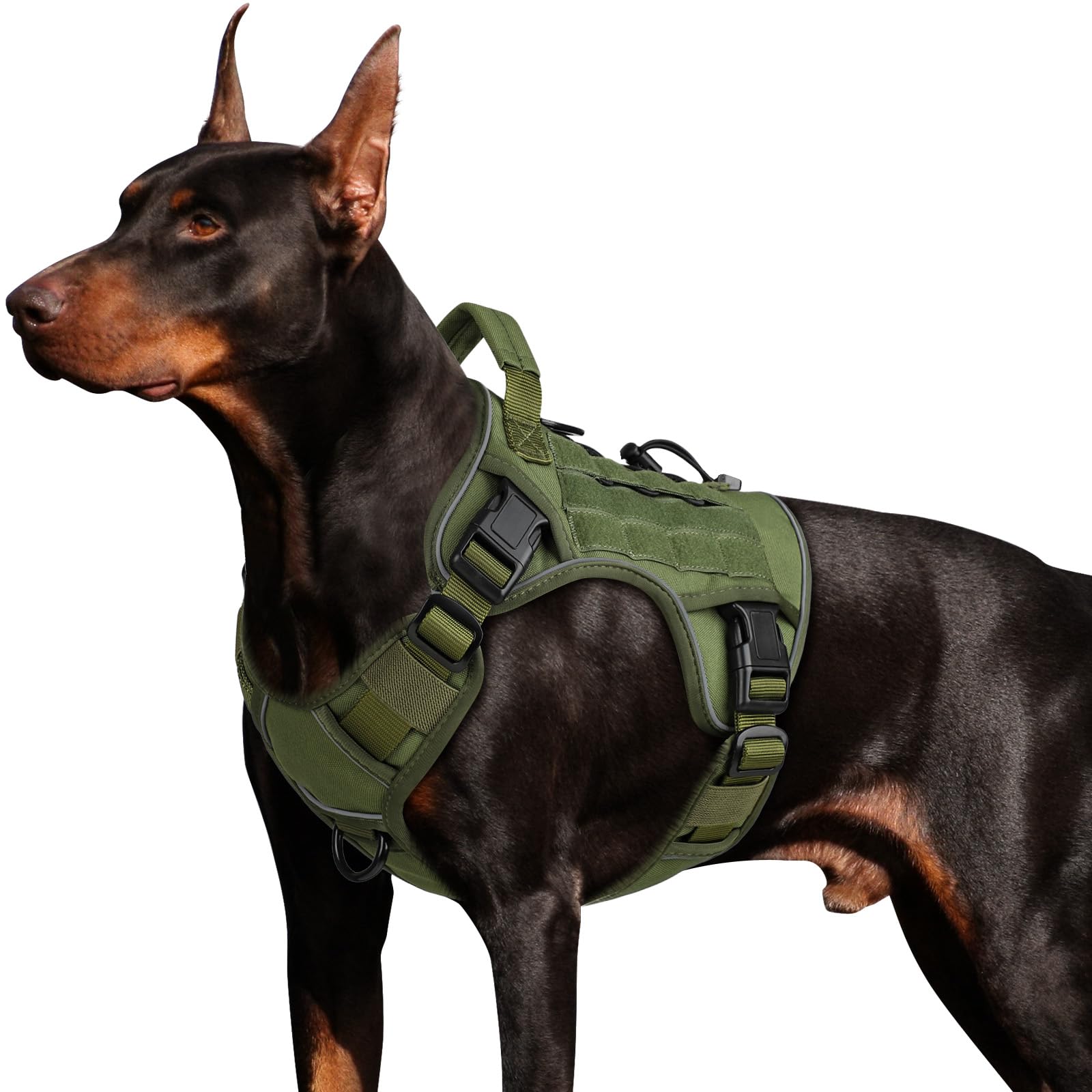WINGOIN tactical dog harness on a large green dog for hiking comfort.