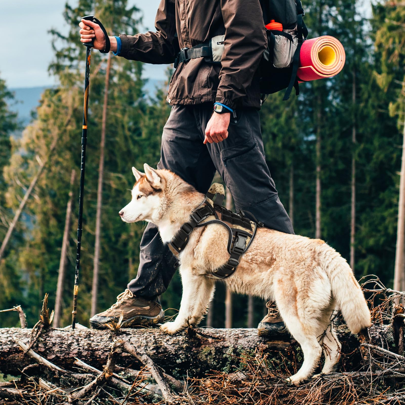 WINGOIN tactical harness mesh inner for breathable comfort during hikes