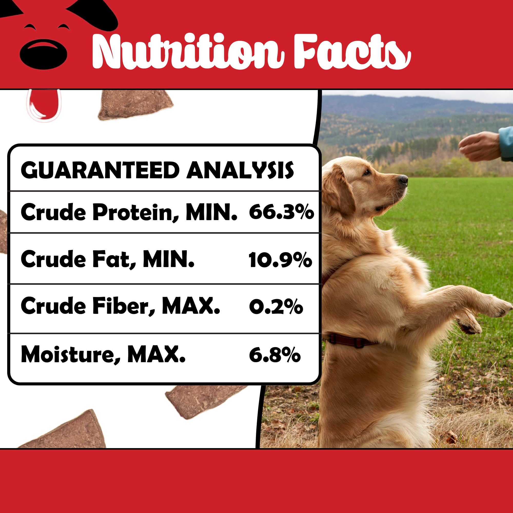 Winni Treats training-friendly treats—versatile rewards for dogs of all sizes