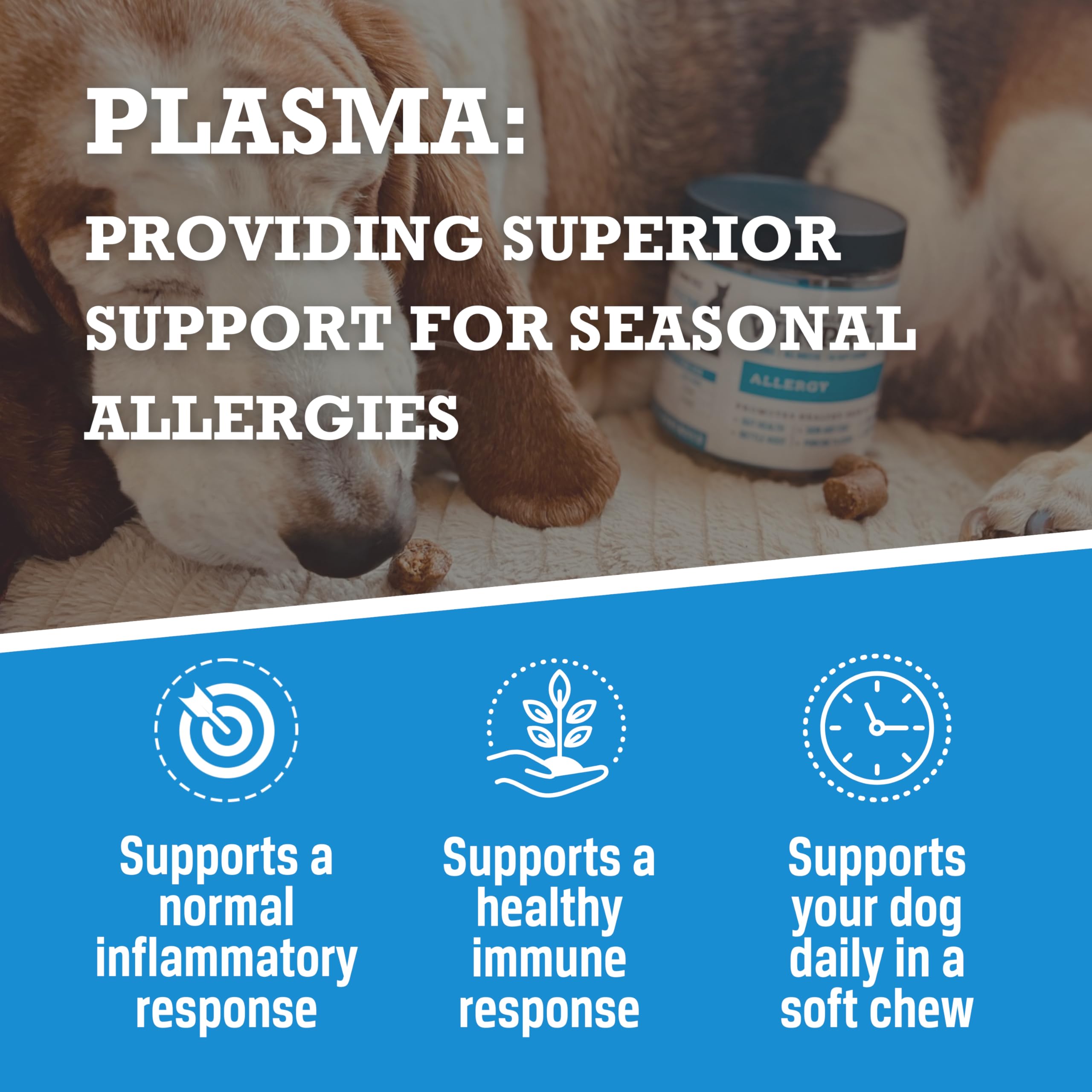 Dog receiving WINPRO Allergy Chews during daily routine for seasonal support.