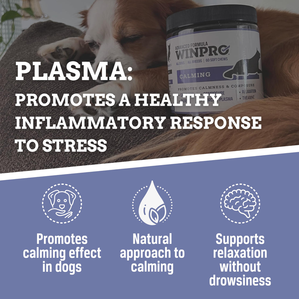 WINPRO Calming Chews canister open with soft chews visible for daily calm