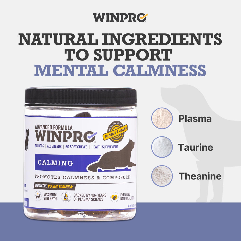 DOG relaxed with WINPRO Calming Chews on a couch for calm moments