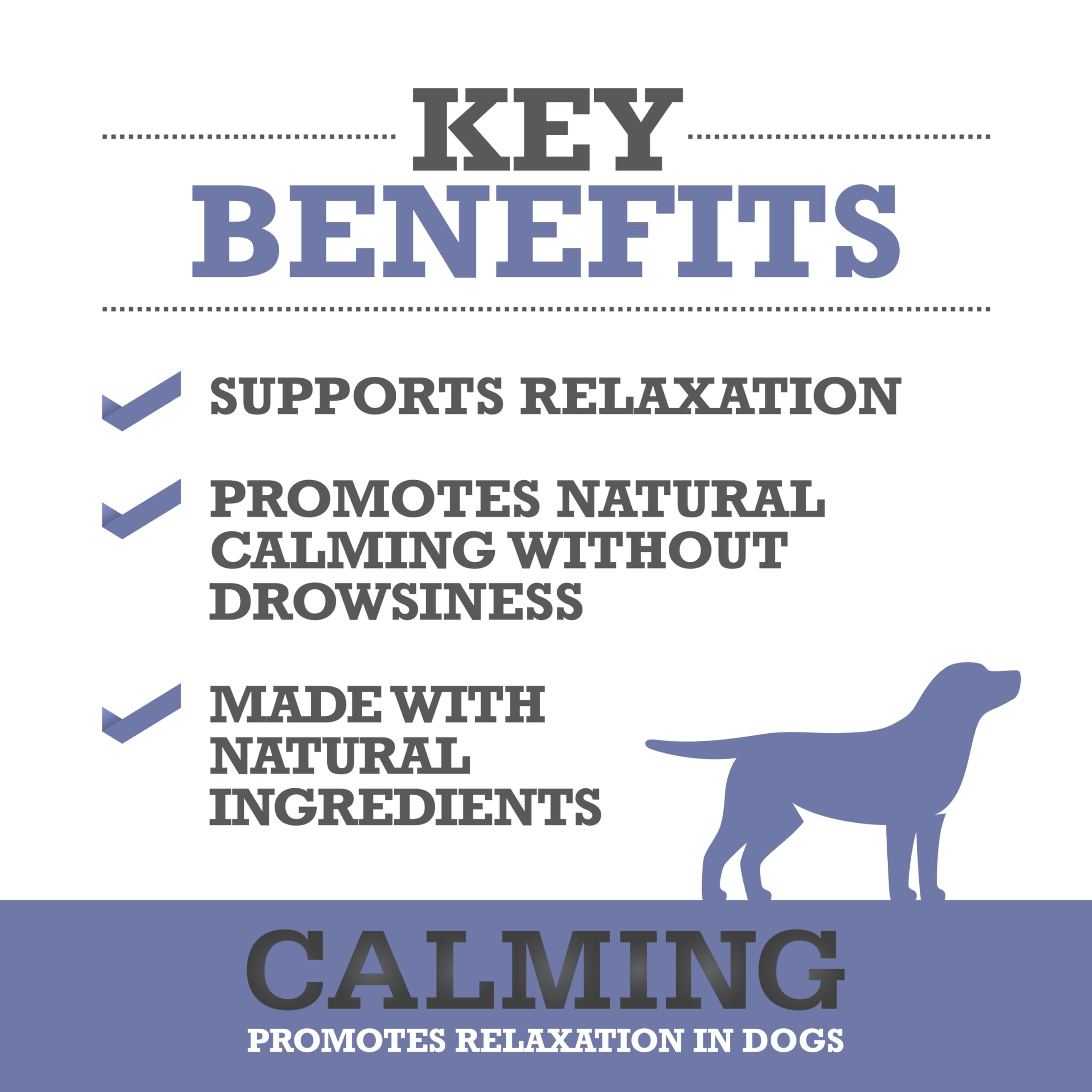 Close-up of WINPRO Calming Chews soft texture for a tasty calm