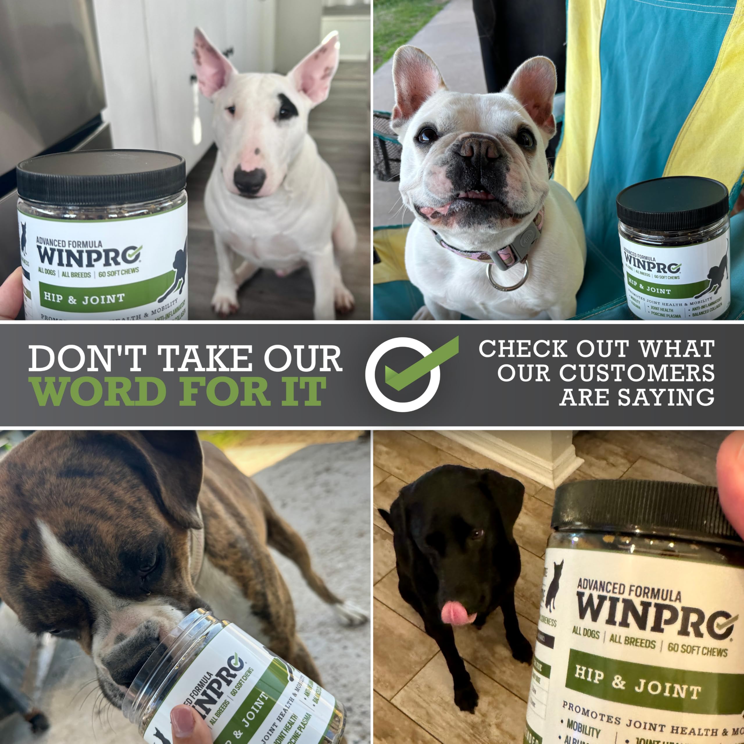 WINPRO USA-made factory logo emphasizing quality standards