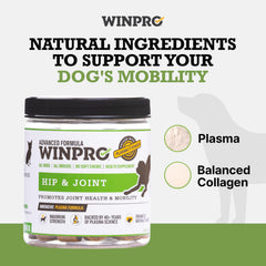 WINPRO soft chews texture close-up showing bite-sized palatability