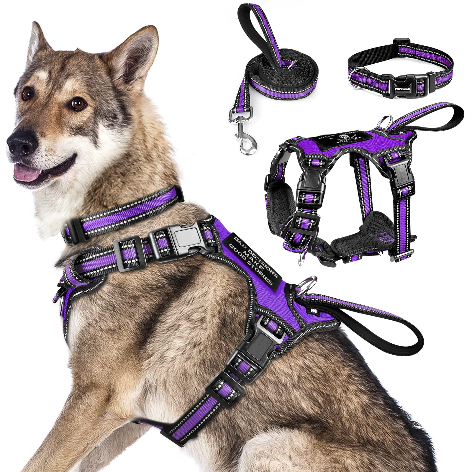 WinSEE 3-in-1 harness in use improves daily walking safety and convenience.