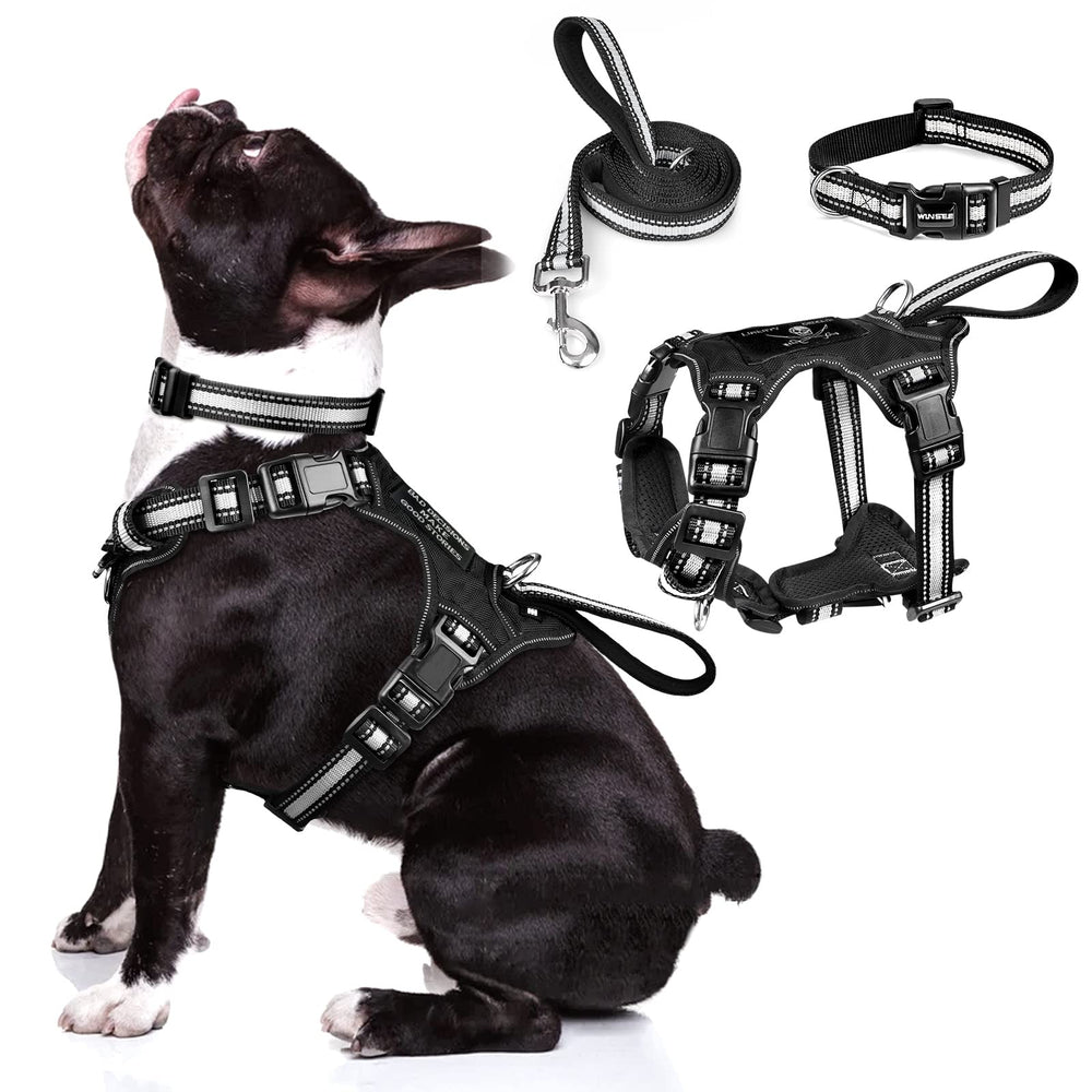 WINSEE 3-in-1 harness front view with reflective collar for safety during night walks