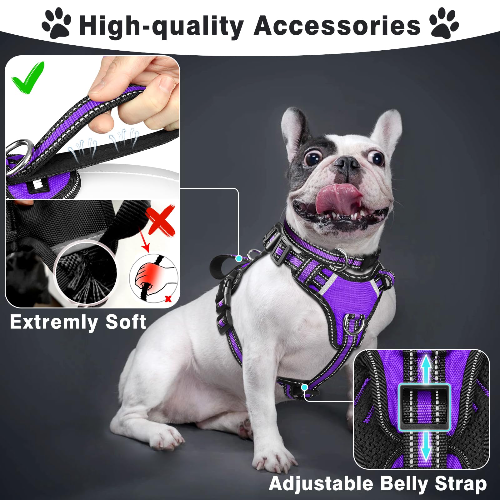 WINSEE 3in1 harness back D-rings for secure leash attachment