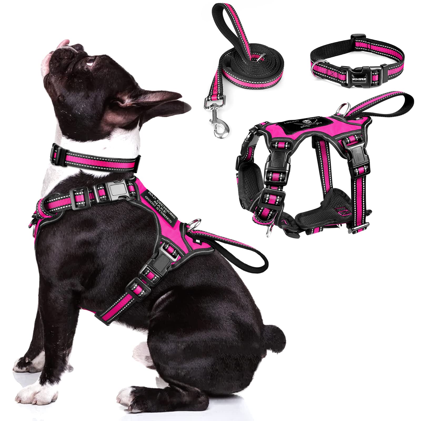 WINSEE 3in1 harness-collar-leash setup for everyday walking and safety
