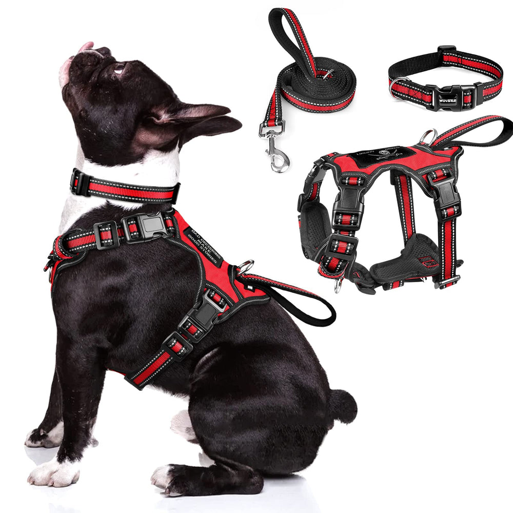WINSEE 3in1 harness-collar-leash visible in low light for safer evening walks.