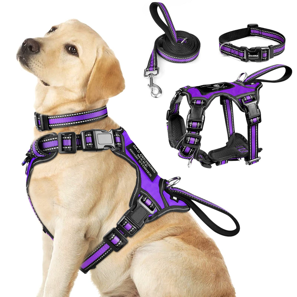 WINSEE 3in1 harness front-clip shows no-pull control during walks
