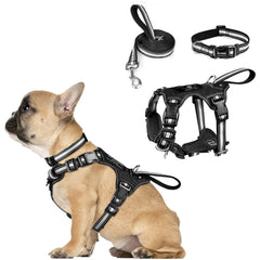 WINSEE 3in1 harness front view demonstrates no-pull design for calmer daily walks