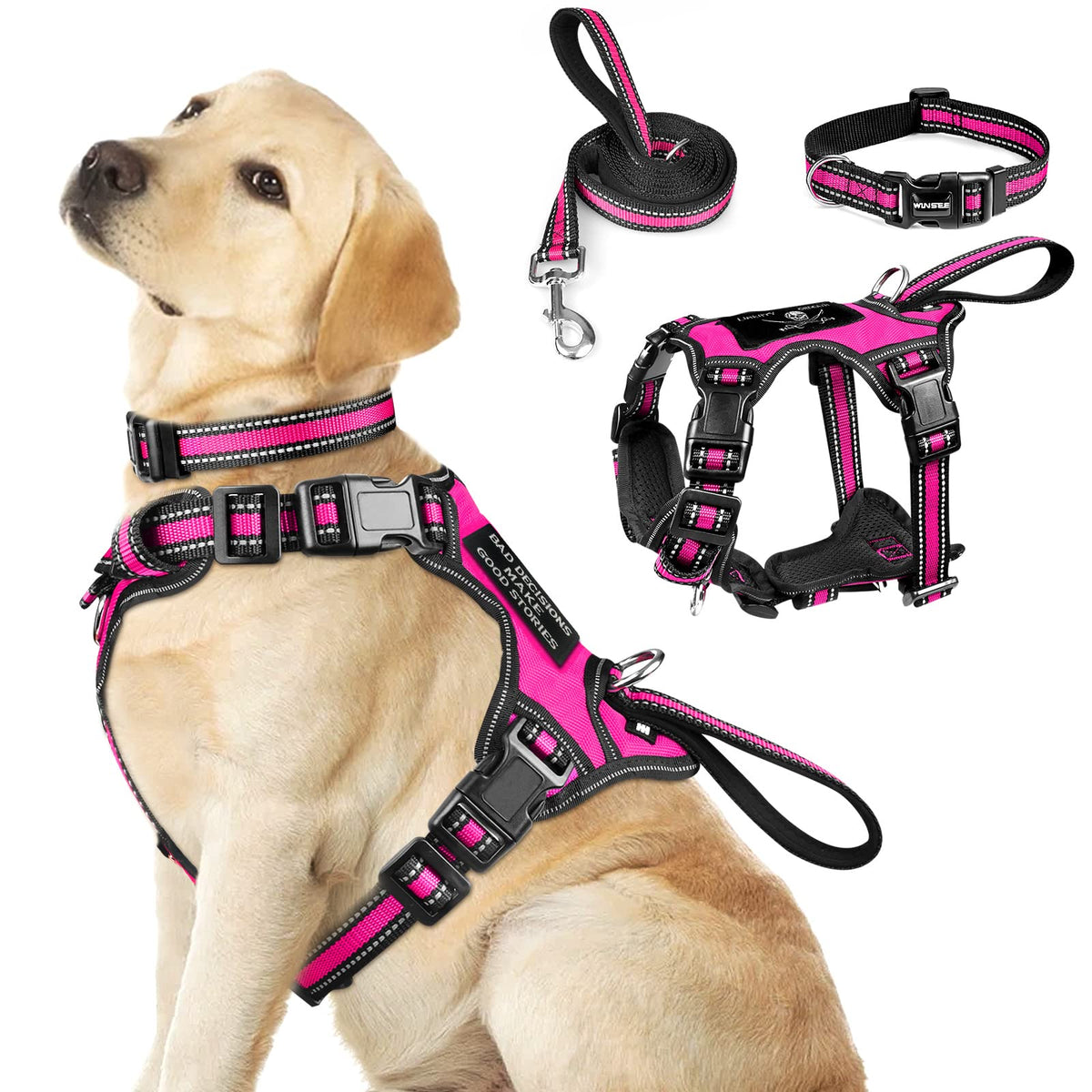 WINSEE 3in1 harness front view shows reflective collar for safer morning walks.