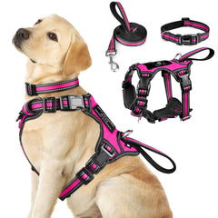 WINSEE 3in1 harness front view shows reflective collar for safer morning walks.