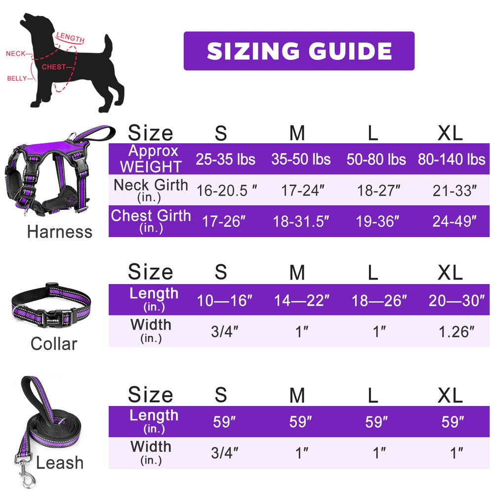WinSEE all-in-one harness setup for versatile daily adventures.