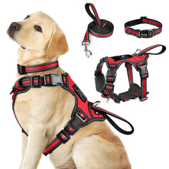WINSEE all-in-one harness demonstrates reflective design for safer evening walks