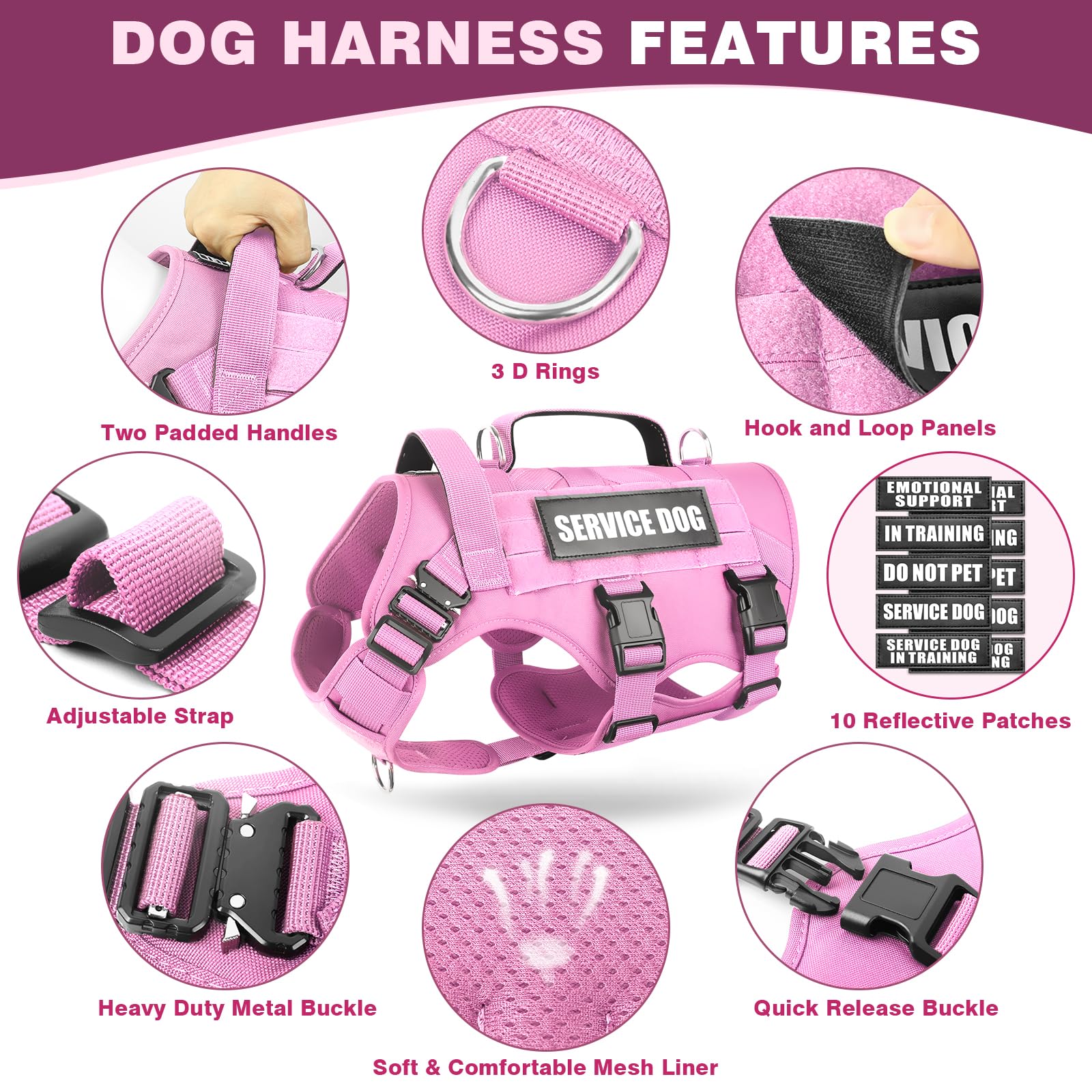 WINSEE vest with anti-pull front clip to control walks without choking.