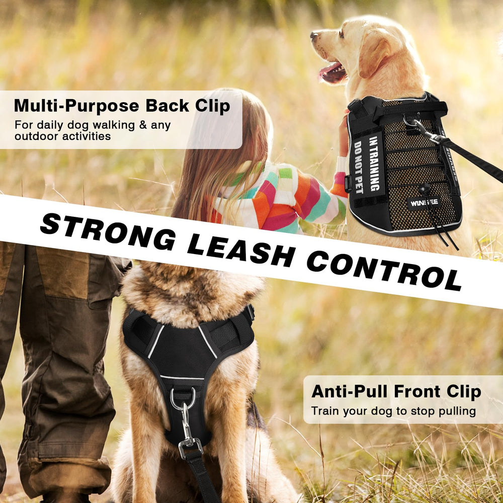 WINSEE breathable air-mesh harness keeps large dogs cool on walks.