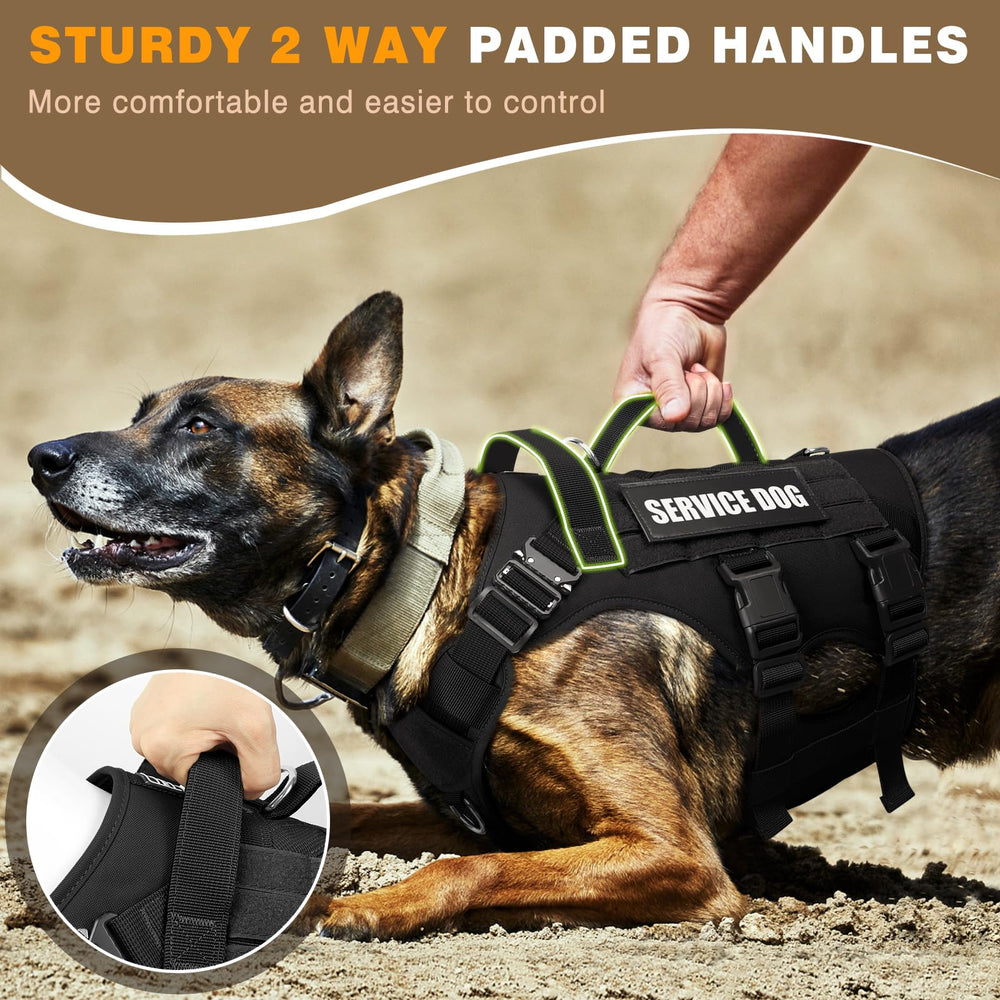 WINSEE breathable air mesh keeps dogs cool during workouts