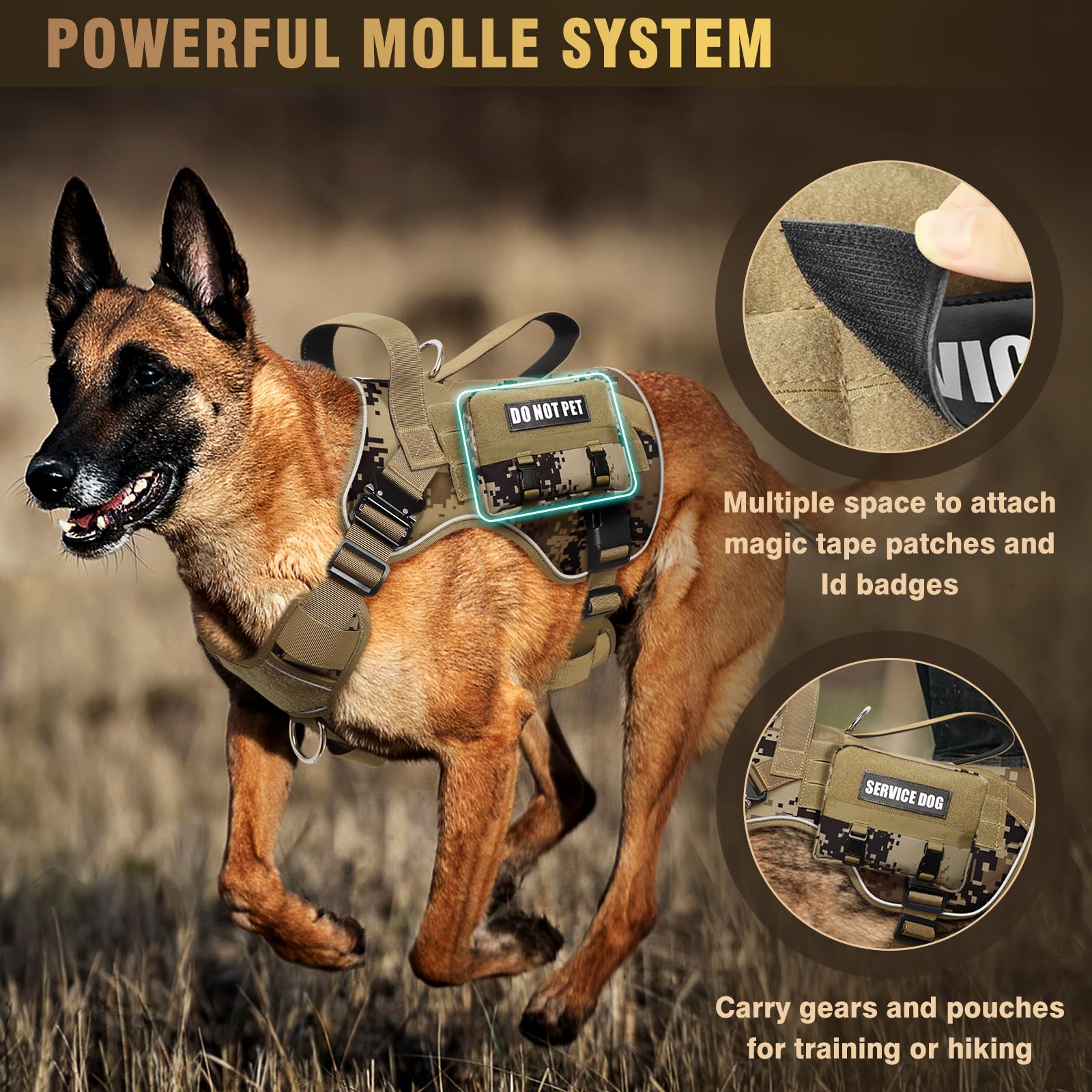 Breathable air mesh on WINSEE harness keeps medium dogs cool on long wear
