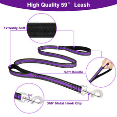 WINSEE collar and leash assembly highlighting 3-in-1 design.