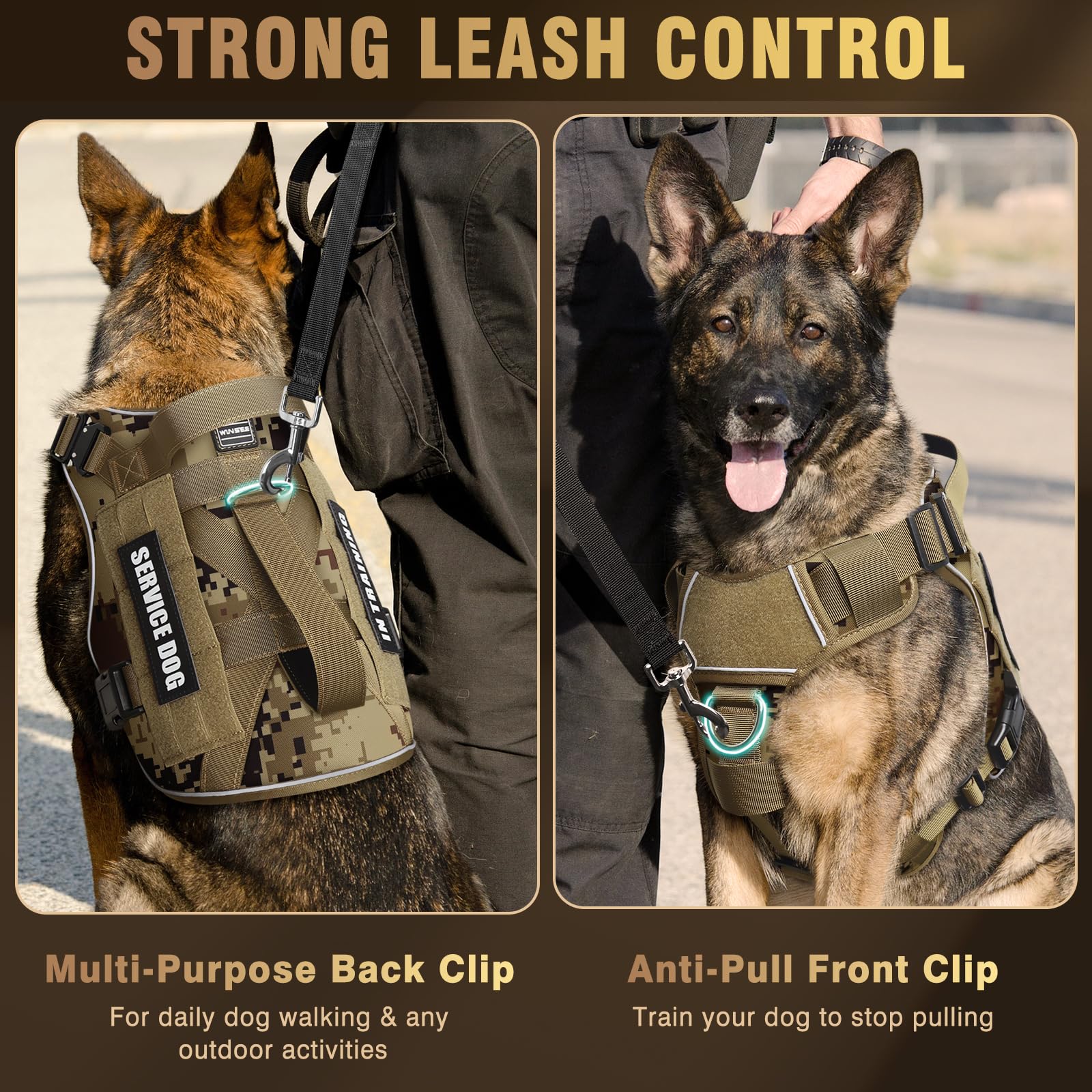 Two leash attachment D-rings on WINSEE harness for versatile control