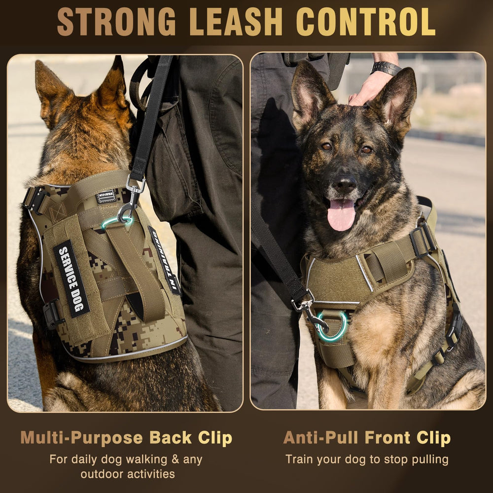 Two leash attachment D-rings on WINSEE harness for versatile control