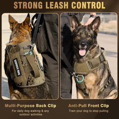 Two leash attachment D-rings on WINSEE harness for versatile control