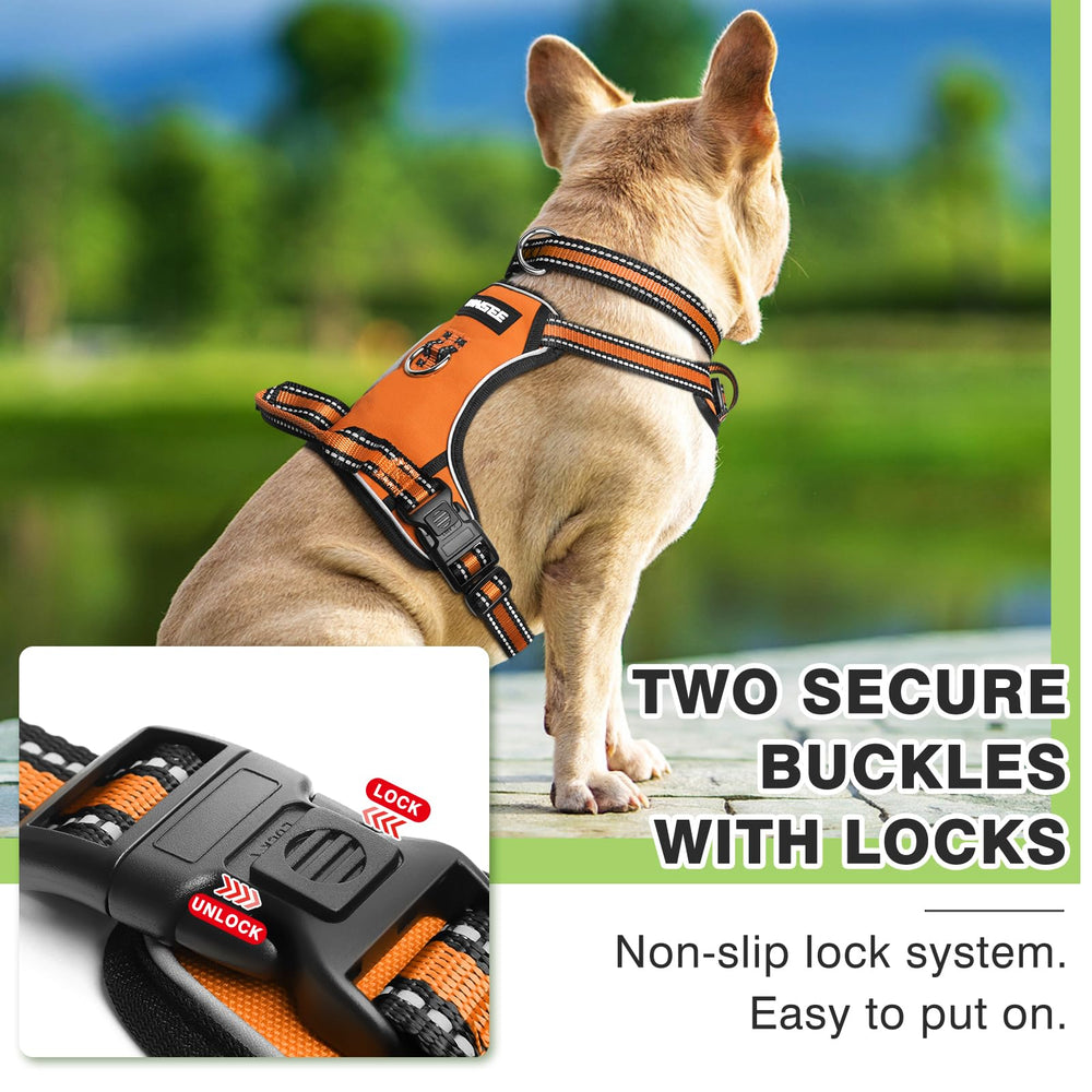 WINSEE adjustable neck and chest fit for different dogs.