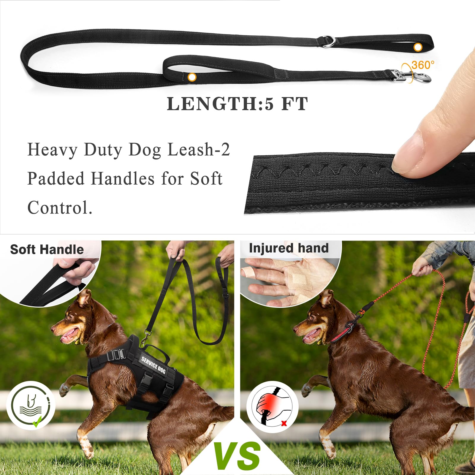 WINSEE harness with three D-rings for versatile leash options