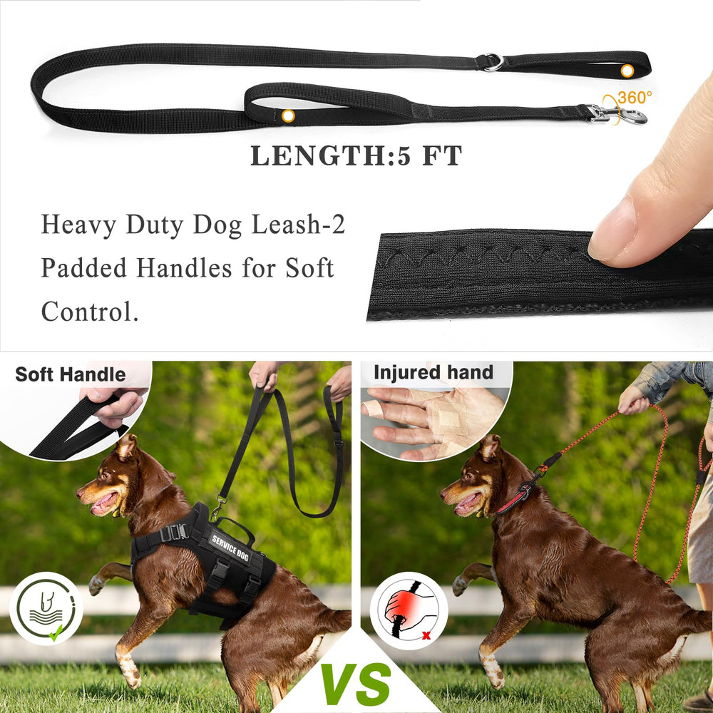 WINSEE harness with three D-rings for versatile leash options