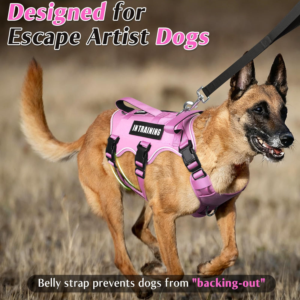 WINSEE dog harness with double handle side view for quick control during hikes