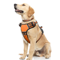 WINSEE dog harness front-clip for safer, pull-free walks.