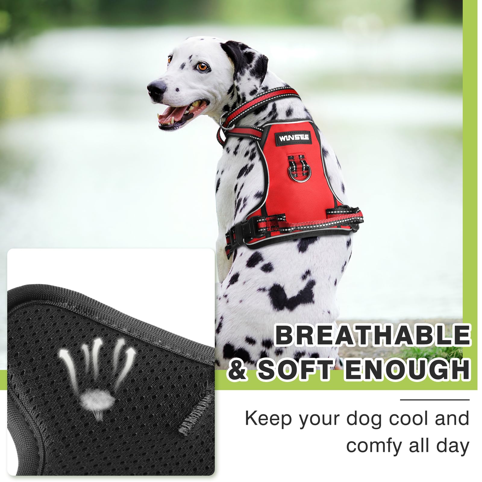 WINSEE harness in use during a daytime stroll with leash clips