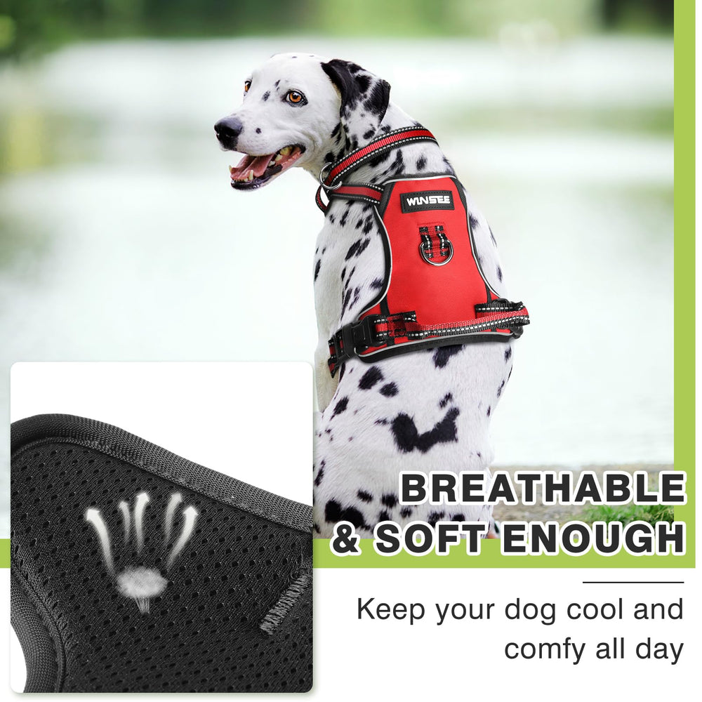 WINSEE harness in use during a daytime stroll with leash clips