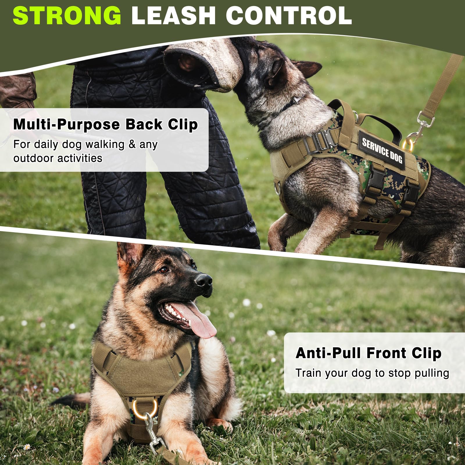 WINSEE padded-handle dog harness for safer lifting and control