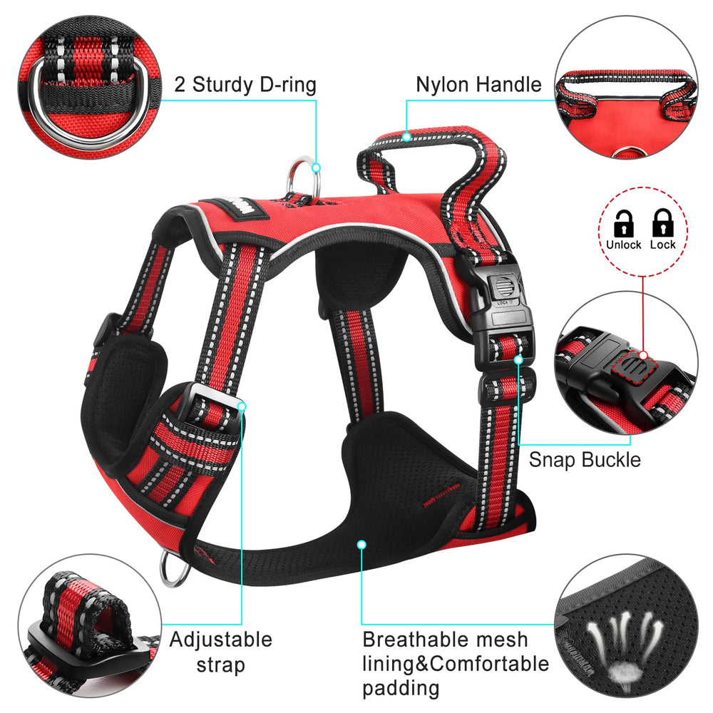 WINSEE reflective straps on harness for night visibility during walks