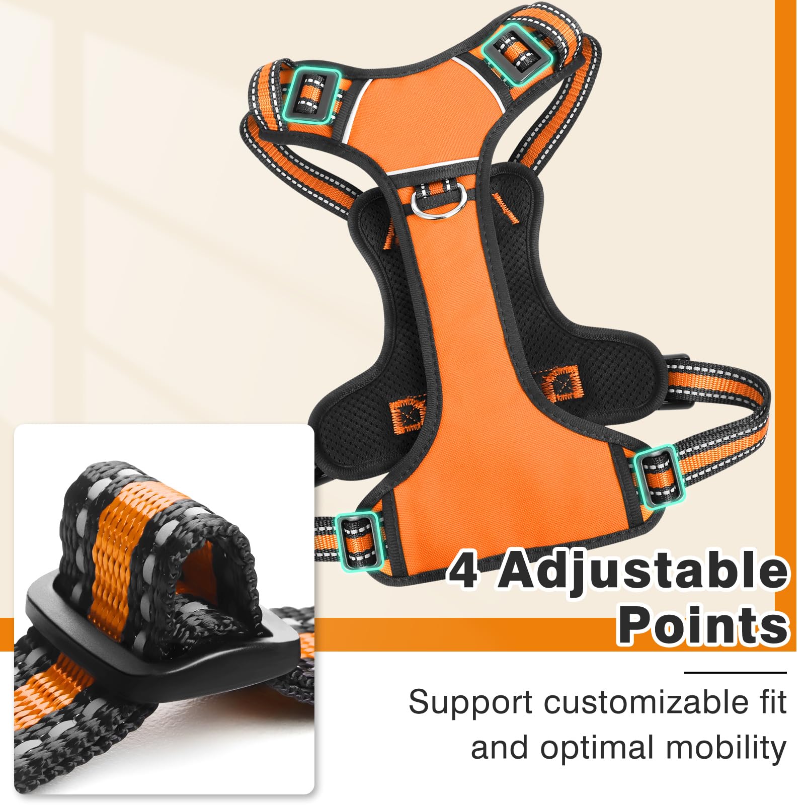 WINSEE quick-snap safety buckles ensure easy, secure fitting.