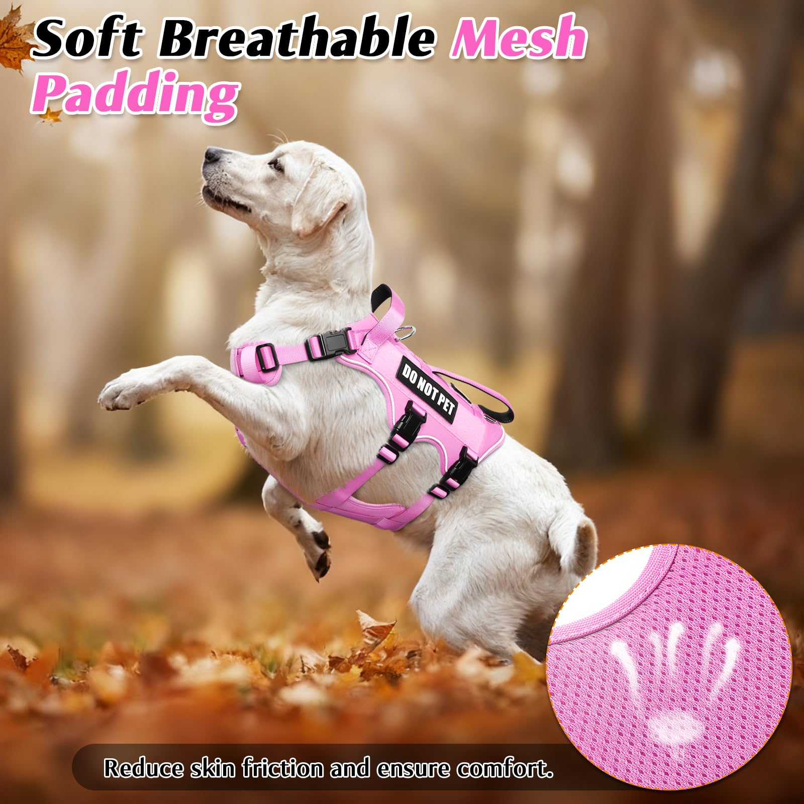 WINSEE dog lift-handle being used to assist over obstacles