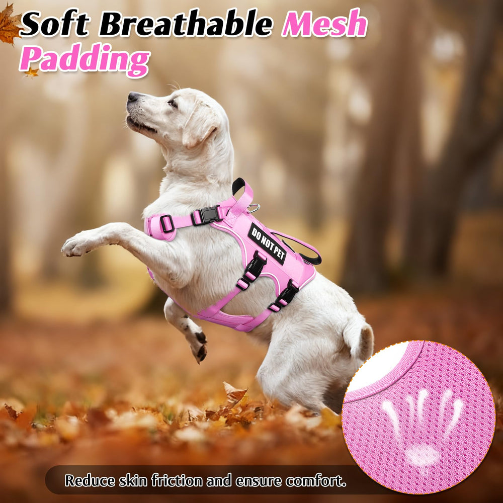 WINSEE dog lift-handle being used to assist over obstacles