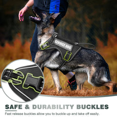 WINSEE patches on vest include service dog, do not pet, and in training labels
