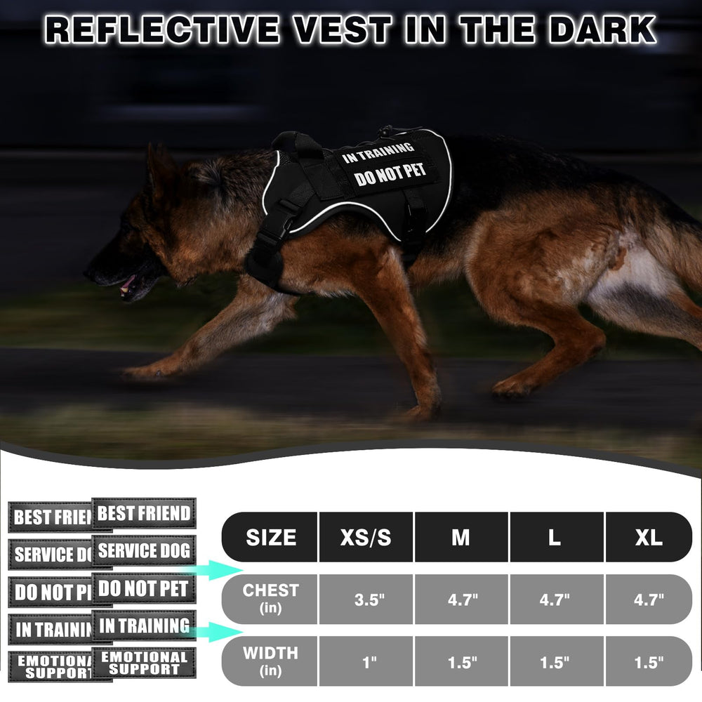 WINSEE easy-on-off buckles simplify harness fitting for large dogs.