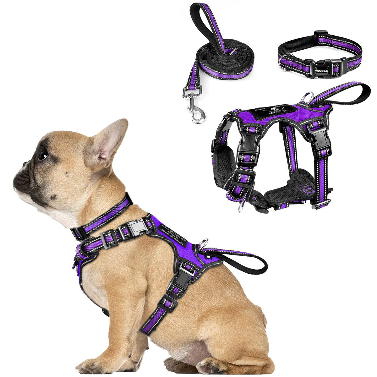 WINSEE purple harness front view with reflective fabric for safer evening walks.