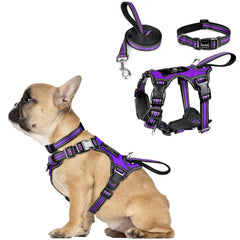 WINSEE purple harness front view with reflective fabric for safer evening walks.